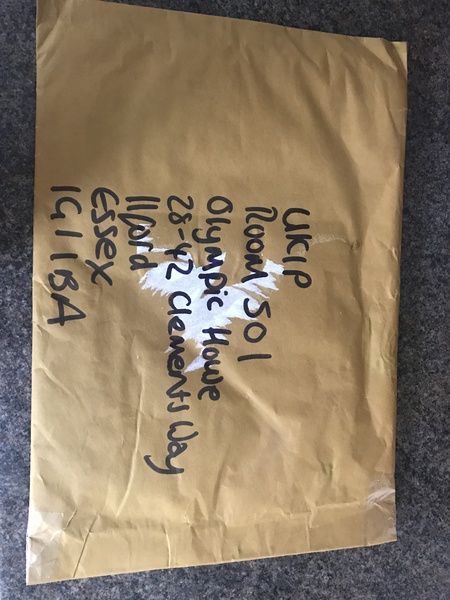 Who should I vote for in the European Elections?