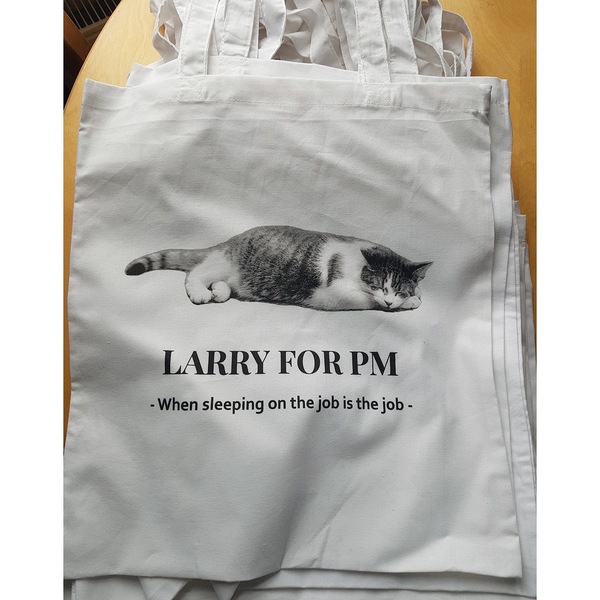 Westministenders: The Only Election That Matters - The Tory One