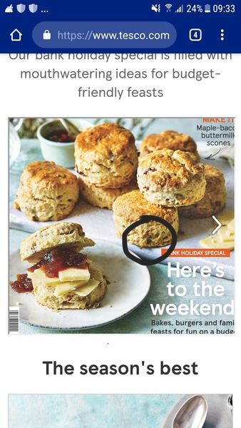 To think there is a dead wasp  stuck in a scone on the cover  picture of the Tesco magazine?
