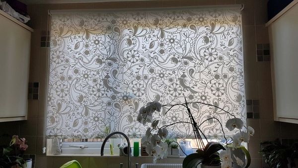 Tell me about your stylish vertical blinds