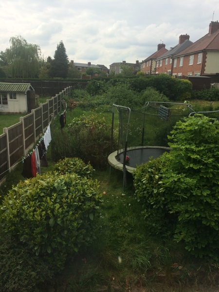 HELP! No idea where to start with this jungle.