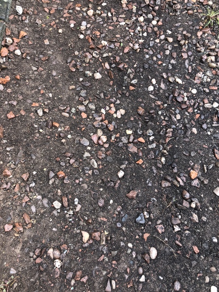 Replacing gravel with lawn