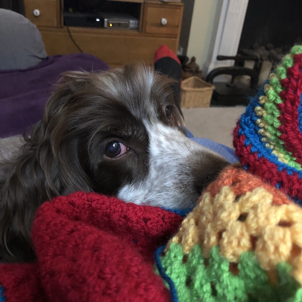 A warm woolly welcome to C2019! Chernobs ahoy!