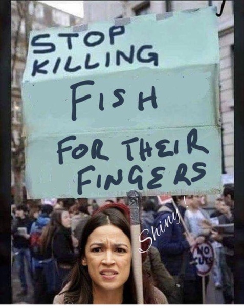 Please share your funny memes or pictures.