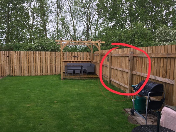 Want to plant here (with pic)
