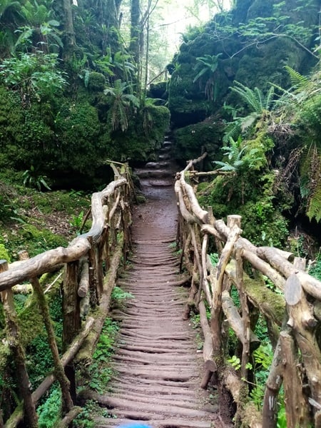 What's the most fascinating place you've ever been?