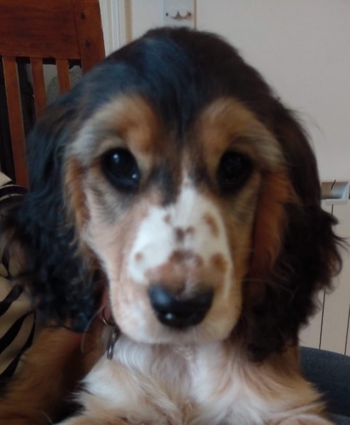 People that say a month is 4 weeks?