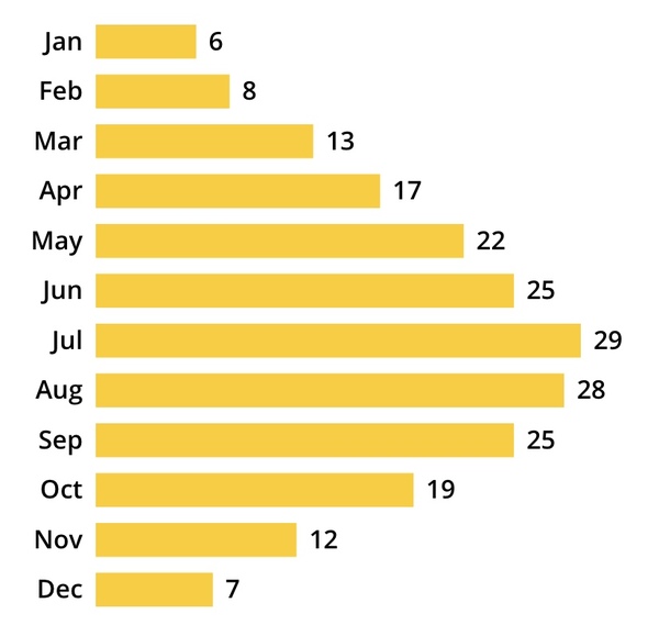 Allotment?Veg Patch Thread 13! Are we weathering the weather?