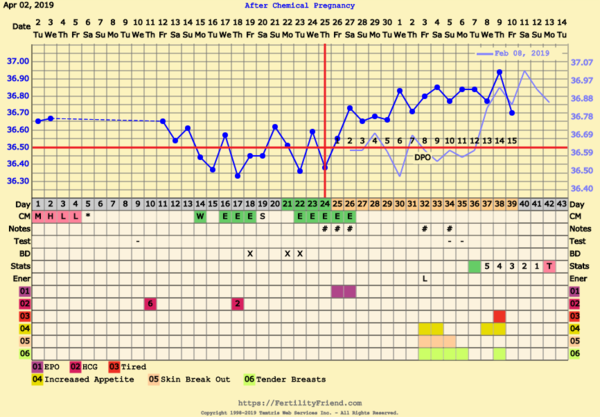 First Pregnancy Missed Miscarriage