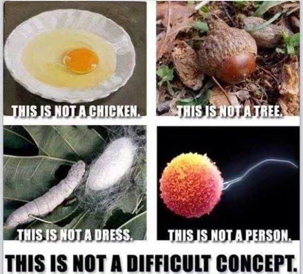 To be annoyed by anti-Alabama posts?