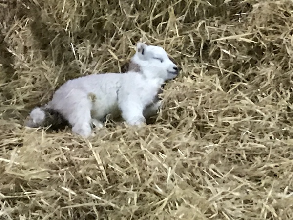 I’m a farmer, ask me anything