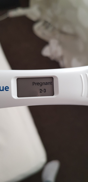 January 2020 - Thread 2