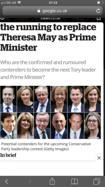 To quite fancy Rory Stewart?
