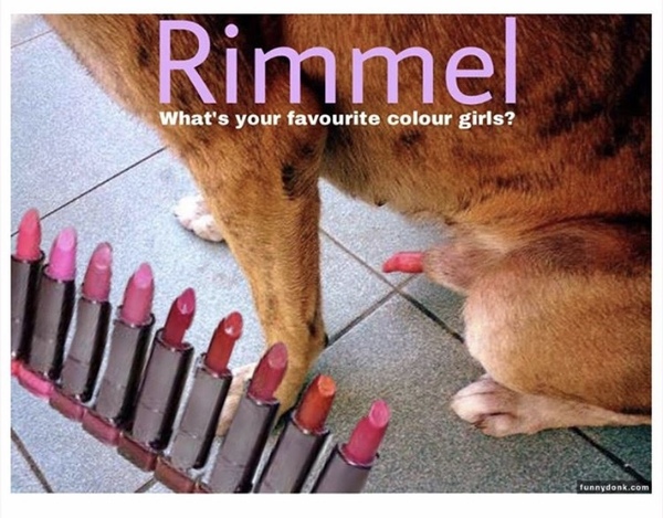 Please share your funny memes or pictures.