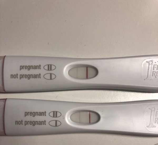Line eyes post - FRER 12dpo