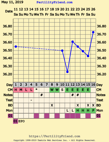 First Pregnancy Missed Miscarriage (Part III)