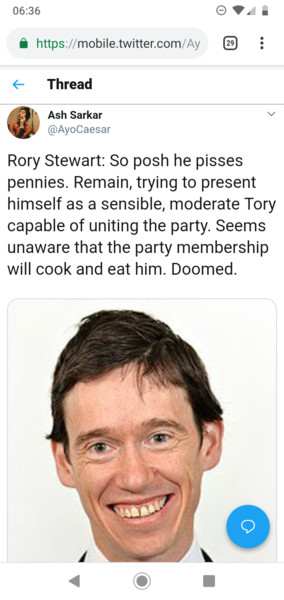 To quite fancy Rory Stewart?