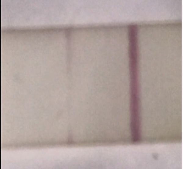 The myth of "Evap lines"