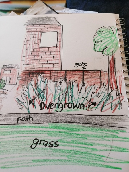 Are we allowed to prune/cut back council’s overgrown weeds/bushes/prickles to add fence out of our garden onto public land?