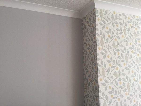 What colour for my living room? (With pics)