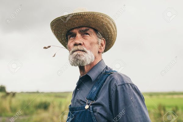 To eat grass?