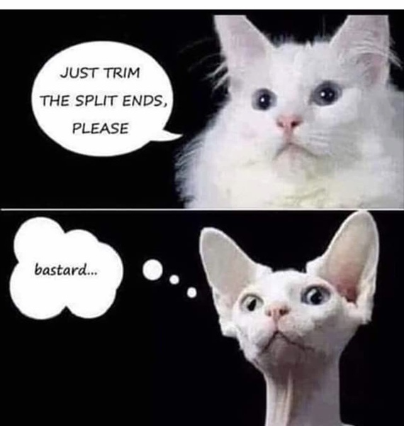The Mega Meme Thread