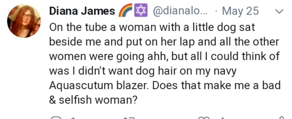 DV Select Committee contributor wants to browse adult sites on train wifi