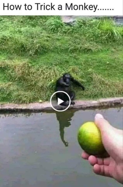 Tell me a joke