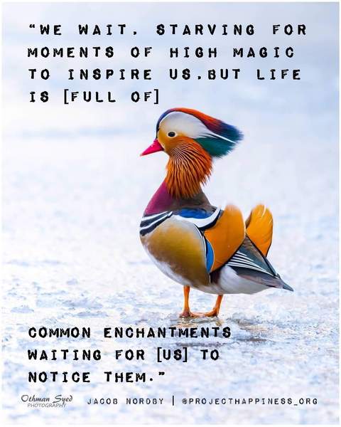 Any Witches Here? Part 8.