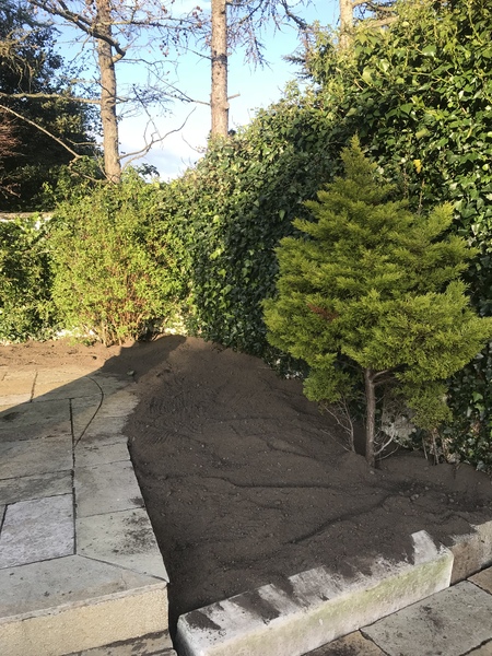 What to put in flower bed