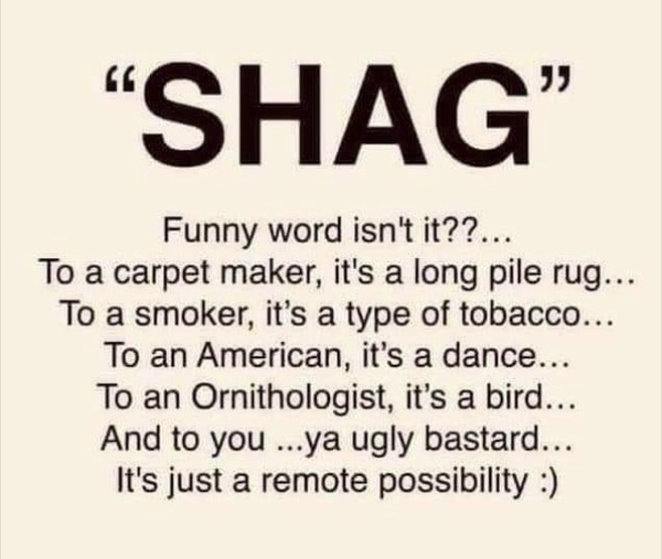 Please share your funny memes or pictures.