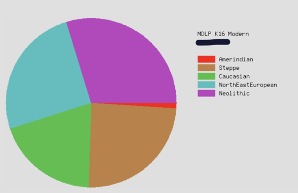 Ancestry DNA test