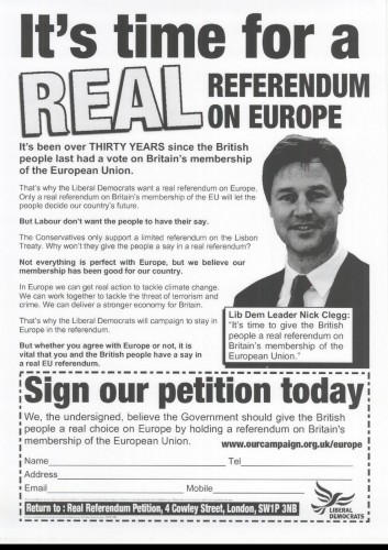 How should remainers vote in the EU elections