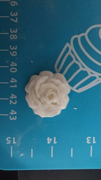 Help me choose a rose