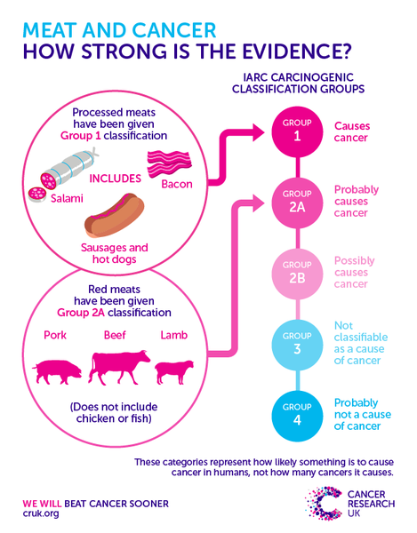 4 year old would like to be vegetarian