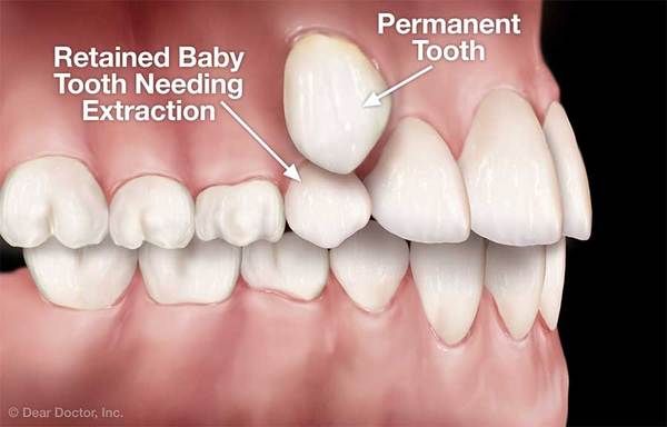 Any dentists about?