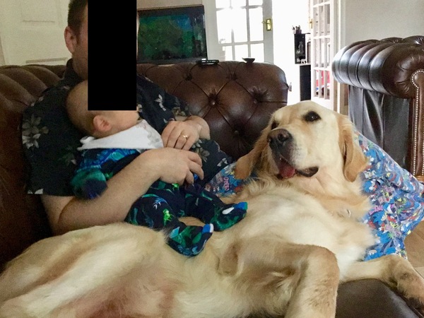 Puppy and a baby?