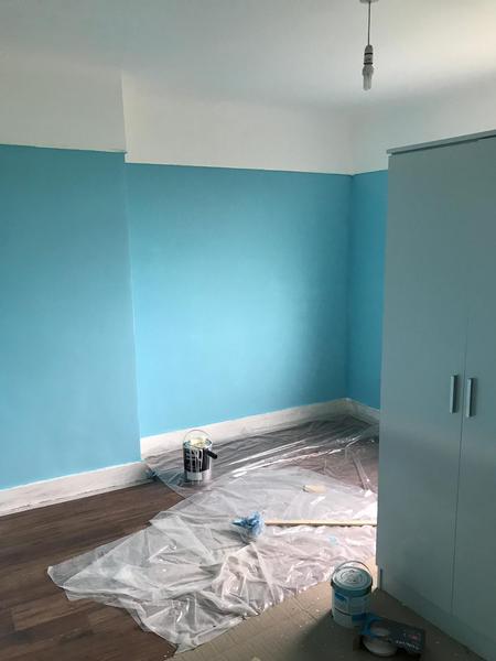 What do you think of these for a five year old boys room?
