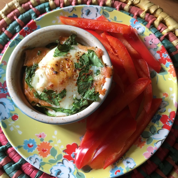 Blood Sugar Diet and Fast800 thread 14