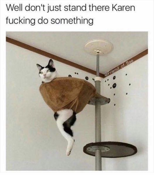 Please share your funny memes or pictures.