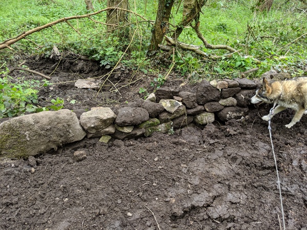 CF county council has destroyed my wall!