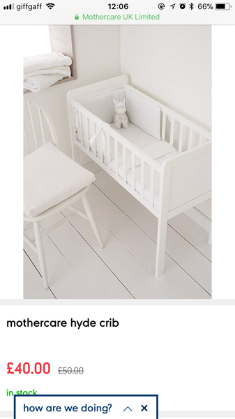 Moses basket