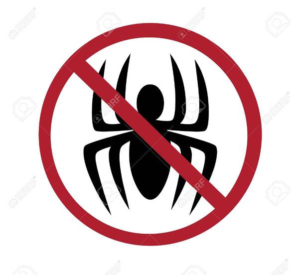 Spiders prevention