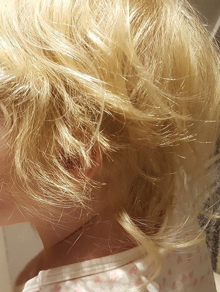 WIBU - To cut or not to cut?