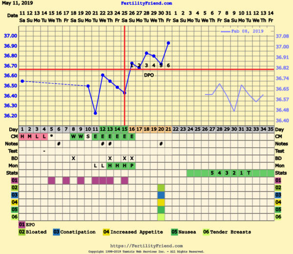 First Pregnancy Missed Miscarriage (Part III)