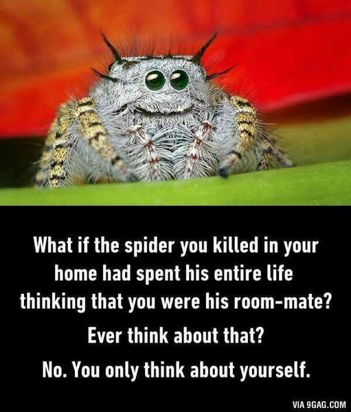 To not be able to kill anything? Even poisonous spiders?