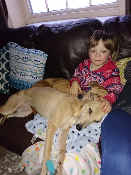 Lurcher- Just the way they are?