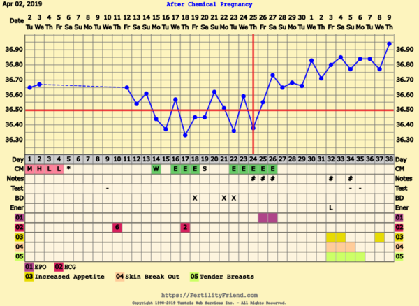 First Pregnancy Missed Miscarriage