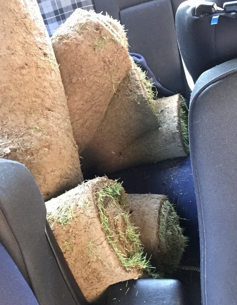 Am I insane to think I can lay my own lawn?
