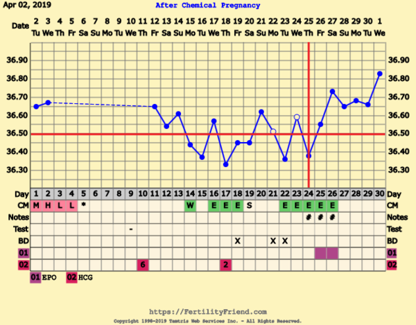 First Pregnancy Missed Miscarriage
